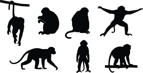 Monkey silhouette set. Primate sitting, climbing, hanging and walking poses collection. Wild jungle monkey animals isolated, wildlife vector illustration pack. © Olivia