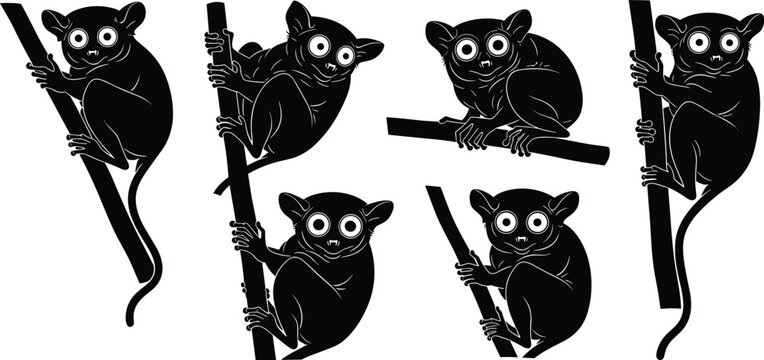 Tarsier silhouette collection. Cute big-eye primate sitting and climbing on branches. Nocturnal jungle animal poses isolated, wildlife vector illustration set.