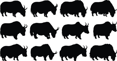 Fototapeta premium Yak silhouette collection. Wild and domestic yak standing and grazing poses. Hairy horned bovine animals isolated, mountain livestock vector illustration set.