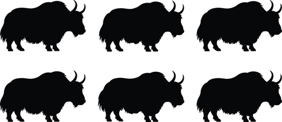 Fototapeta premium Yak silhouette collection. Hairy horned yak standing poses set. Mountain bovine livestock animals isolated, wild yak vector illustration pack.
