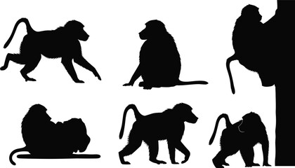 Baboon primate silhouette set. African monkey walking, sitting, grooming and climbing poses. Wild savanna wildlife vector illustration collection. © Queen-Olivia-Studio