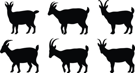 Fototapeta premium Goral silhouette set. Asian mountain goat antelope standing and walking poses. Wild cliff dwelling mammal wildlife vector illustration collection.