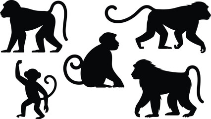 Baboon monkey silhouette set. African primate standing, walking and sitting poses. Wild savanna monkey wildlife vector illustration pack. © Queen-Olivia-Studio
