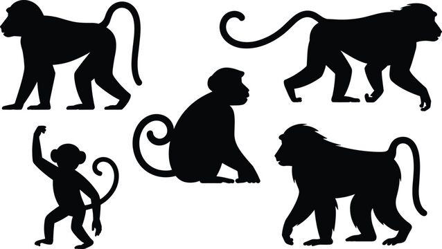 Baboon monkey silhouette set. African primate standing, walking and sitting poses. Wild savanna monkey wildlife vector illustration pack.