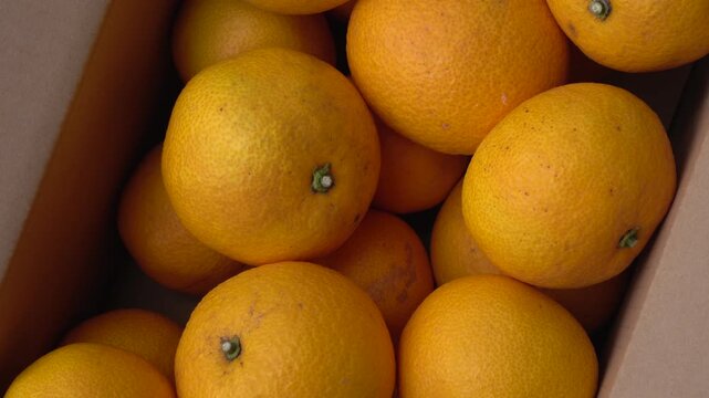 Boxed Japanese fresh hassaku delivered directly from the farm, closeup; Horizontal; Video