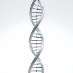 3D illustration of a double helix DNA strand representing genetic research and molecular biology evolution on a clean blue or white background for medical science and biotechnology