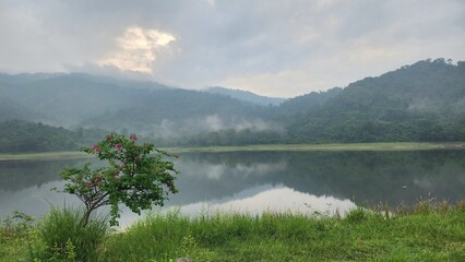 Scenic mountain lake landscape with morning mist and pink flowers.