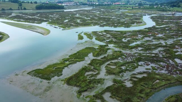 Vista a&eacute;rea del lago h&uacute;medo con musgo en Santander