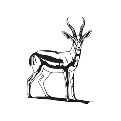 A drawing of an antelope with large horns © SI