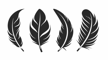 Obraz premium Four stylized black feathers with white accents, set against a plain white background