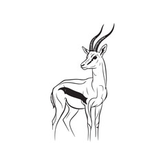A drawing of an antelope with long horns © SI