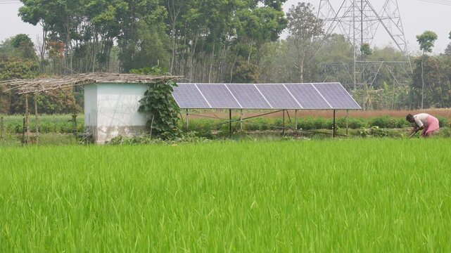 Solar Panels in Rural Farmland with Transmission Towers