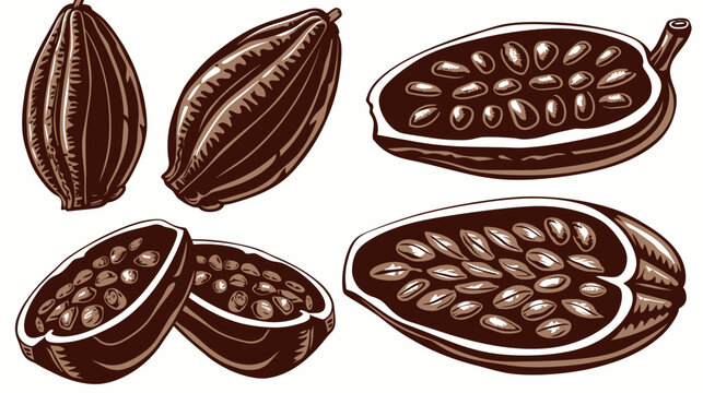 Vector illustration of various cocoa pods, cut open and whole, with seeds