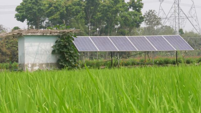 Solar Panels in Rural Farming Landscape