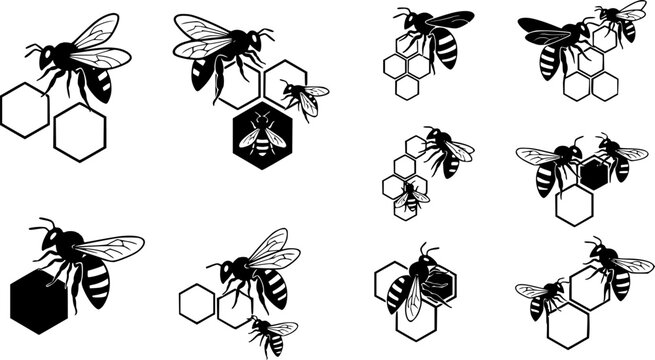 Bee on honeycomb icon set. Flying bee route. Honeybee animal in flat style. Flow honey with bumblebee. Natural food. Vector illustration.
