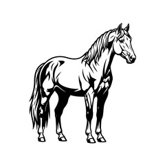 Obraz premium Elegant Horse Silhouette Vector Illustration