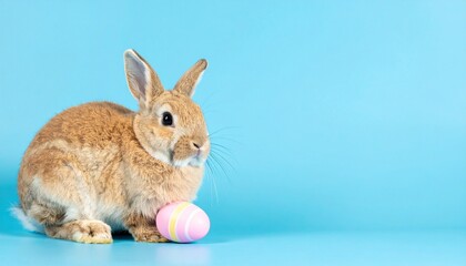 Obraz premium Brown rabbit with pastel Easter egg on blue background