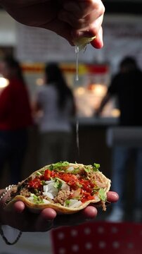 Close up of a person holding a fresh and delicious sandwich in their hands
