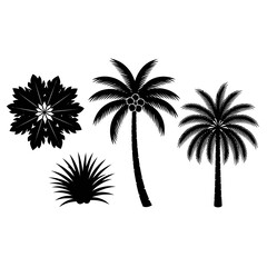 Naklejka premium Tropical Palm Tree Silhouettes Collection - Coconut and Fan Palm Icons
