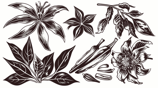 Graphic rendering of botanical elements flowers, pods, and leaves in a monochrome palette
