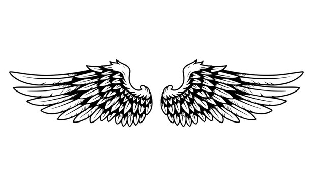 Bird Wings Tattoo Style Hand Drawn Vector Illustration