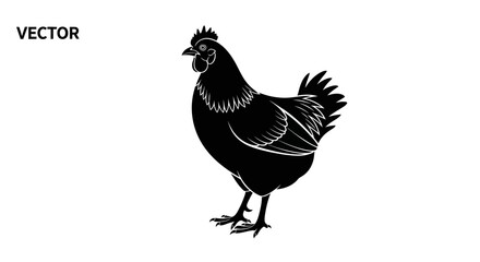 Black Silhouette of a Rooster Bird. © Cantik