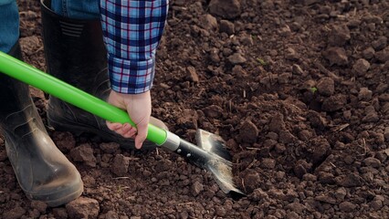 Farming, own small business. Farmer digs earth with shovel in field. Close-up. Concept of organic farming and ecological vegetable growing. Plantation, worker digs fertile land with shovel, growing © Victoriia