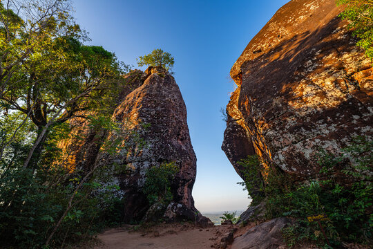 Towering sandstone rock formations create a narrow natural passage under a clear blue sky. Warm sunlight highlights the rugged textures and lu and serene wilderness exploration.