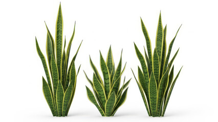 Fototapeta premium Fresh bunch of organic green onion and spring grass isolated on white background as healthy plant ingredient