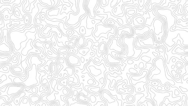 4K 60fps Abstract Topographic Map Animation with Black Contour Lines on White Background. Minimalist Terrain Mapping Background for Motion Graphics, Corporate Presentations, and Modern Design