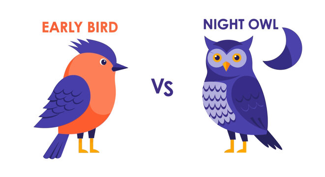 Early Bird vs Night Owl Understanding Chronotypes and Sleep Patterns