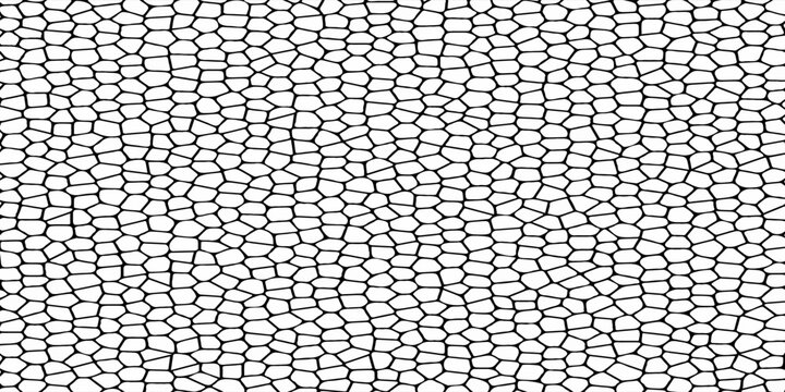 Seamless pattern skin snake, crocodile, lizard, alligator, reptile. Reptilian scales. Monochrome black spots. Vector isolated on white. Serpentine texture. Fashion print.