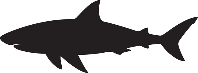 Fototapeta premium Sharks Vector Graphic by Creative Designer