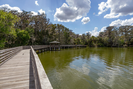 Tranquil view of a wooden boardwalk over serene waters at Palm Island Park in Mount Dora, Florida, with lush greenery and a bright, cloudy sky.