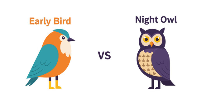 Understanding Personal Chronotypes A Vibrant Cartoon Illustration Comparing the Early Bird's Morning Drive with the Night Owl's Nocturnal Productivity