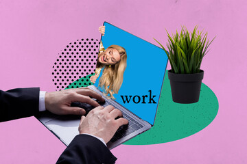 Zine banner full photo collage of happy girl guy peek laptop hands type keypad office flower pot...
