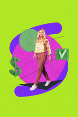 Poster photo vertical collage of happy businesswoman receive dollar coin capital income checkmark...
