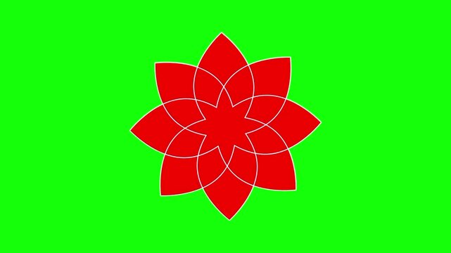 Red geometric flower petal animation concept with spin motion vector icon symbol popup. Animated floral design, editable item motion graphic video template with green screen background