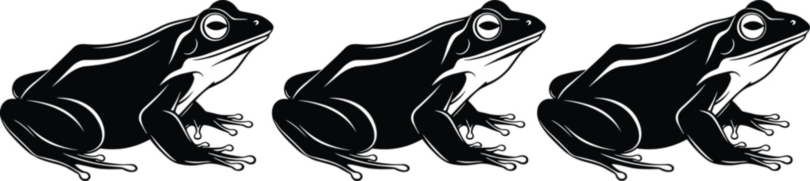 Black and White Frog Vector Illustration Set, Tropical Amphibian Silhouettes Isolated on White Background for Nature Wildlife and Pond Life Designs