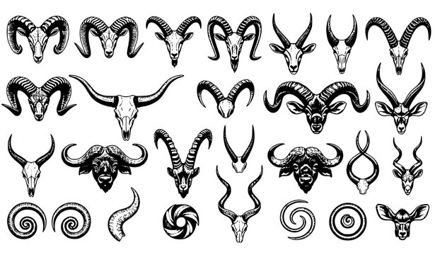 Vintage engraved animal horns collection vector set with ram goat bull and antelope horns isolated illustration