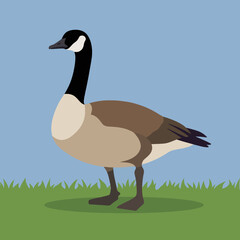 A beautifully stylized illustration of a Canada goose, capturing its distinctive features in a minimalist artistic style against a simple blue backdrop, exuding elegance. © Yu