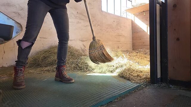 a young woman is sweeping the stable