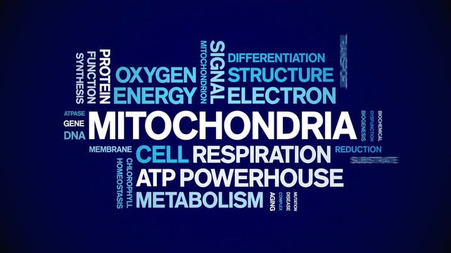Mitochondria animated word cloud-gross domestic product animation tag kinetic typography seamless loop.