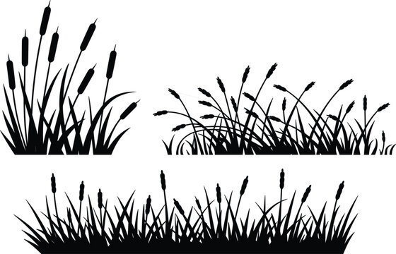 Cattail silhouette vector set, black marsh grass and wetland reed borders, natural plant elements for landscape design