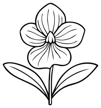 Simple black and white illustration of a pansy flower with leaves