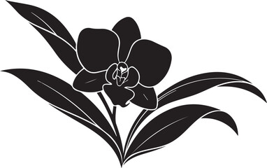 Obraz premium Black orchid flower icon vector