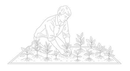 Obraz premium Dedicated gardener tending to young plants in a meticulously arranged garden bed.