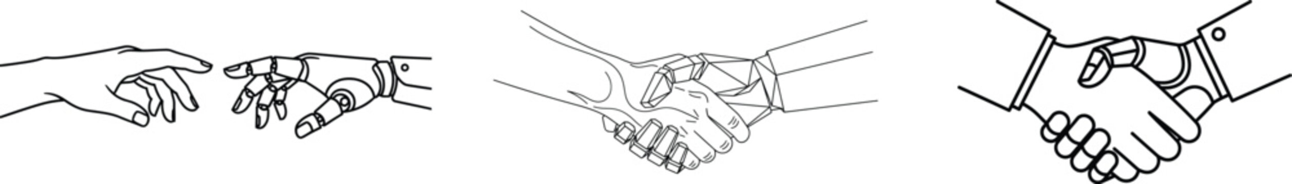 Insect head structure illustrations