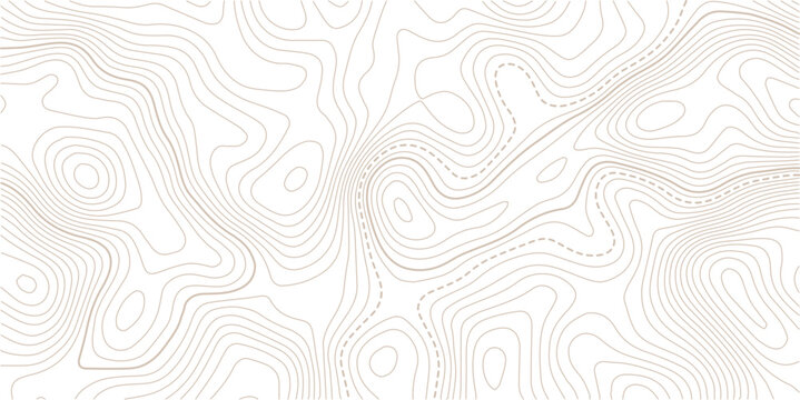 Abstract pattern with lines seamless pattern and topography.The stylized height of the topographic map contour in lines and contours isolated on transparent.Vintage outdoors style. 