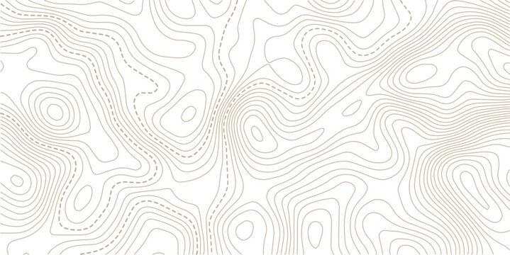 Abstract pattern with lines seamless pattern and topography.The stylized height of the topographic map contour in lines and contours isolated on transparent.Vintage outdoors style. 